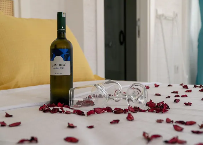 Vina Garden 酒店 5*